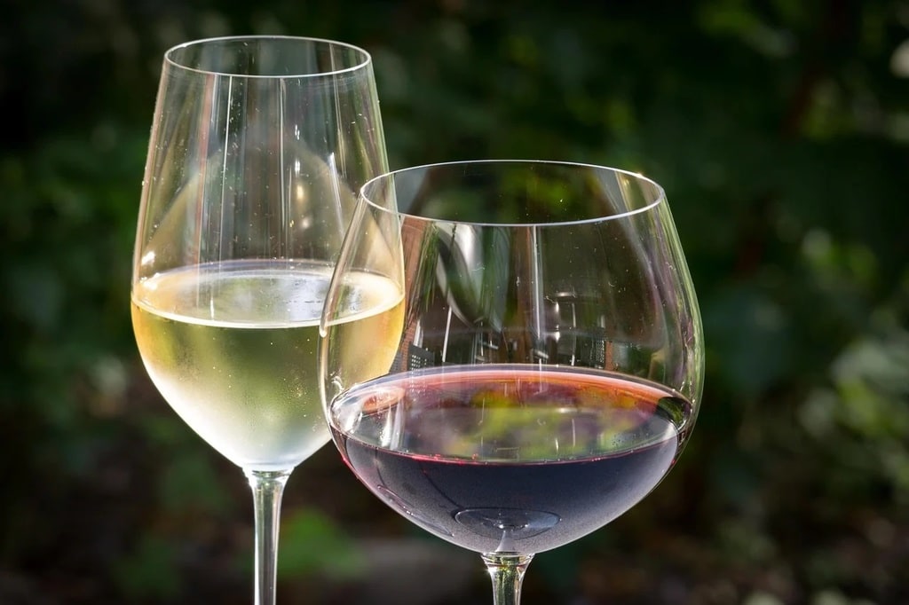 Les vins blancs de Bourgogne : élégance et finesse